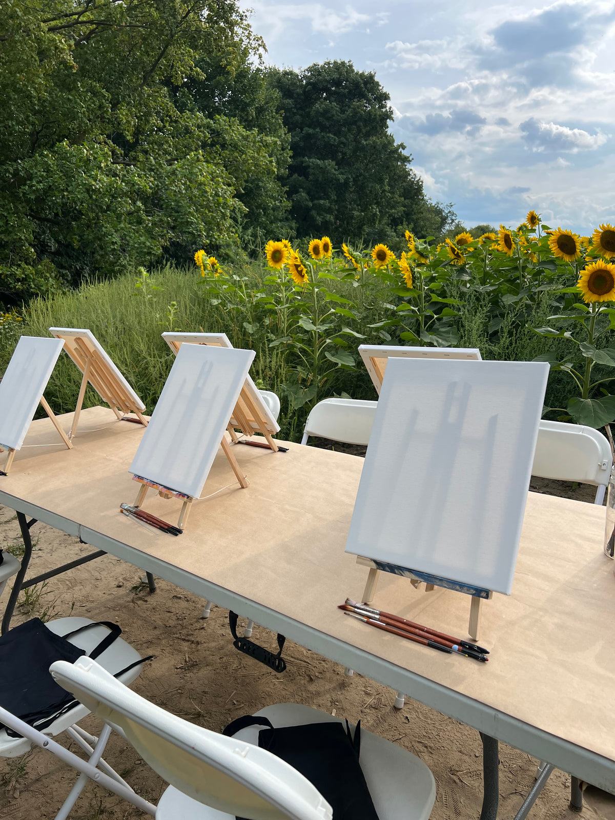 PAINT AT SUNFLOWER FARM (Sept 19)