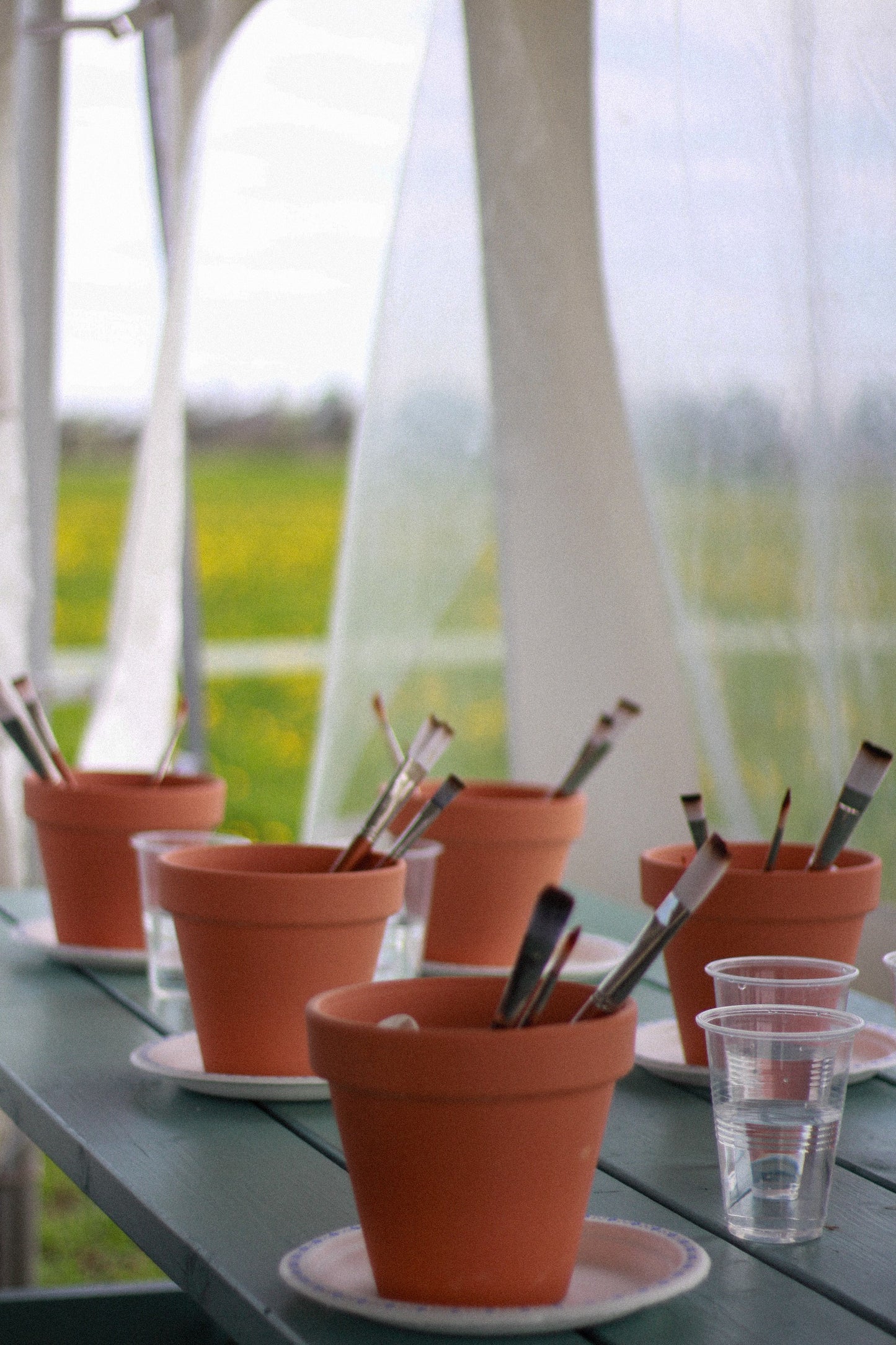 Paint @ Pine Farms Orchard (June 17)